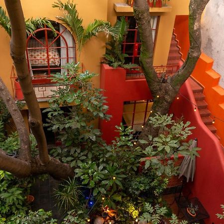 Bed and Breakfast The Red Tree House México DF Exterior foto