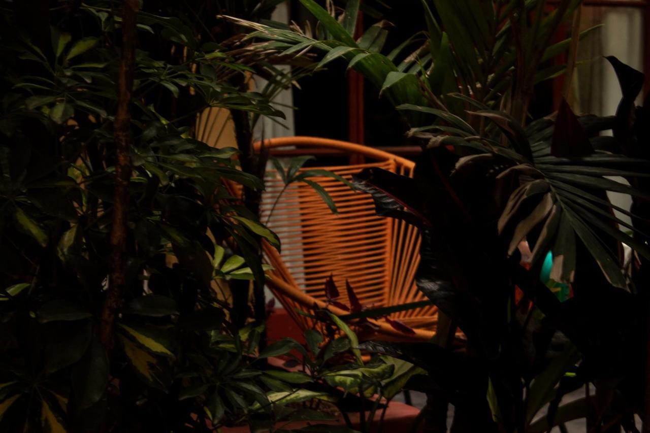 Bed and Breakfast The Red Tree House México DF Exterior foto