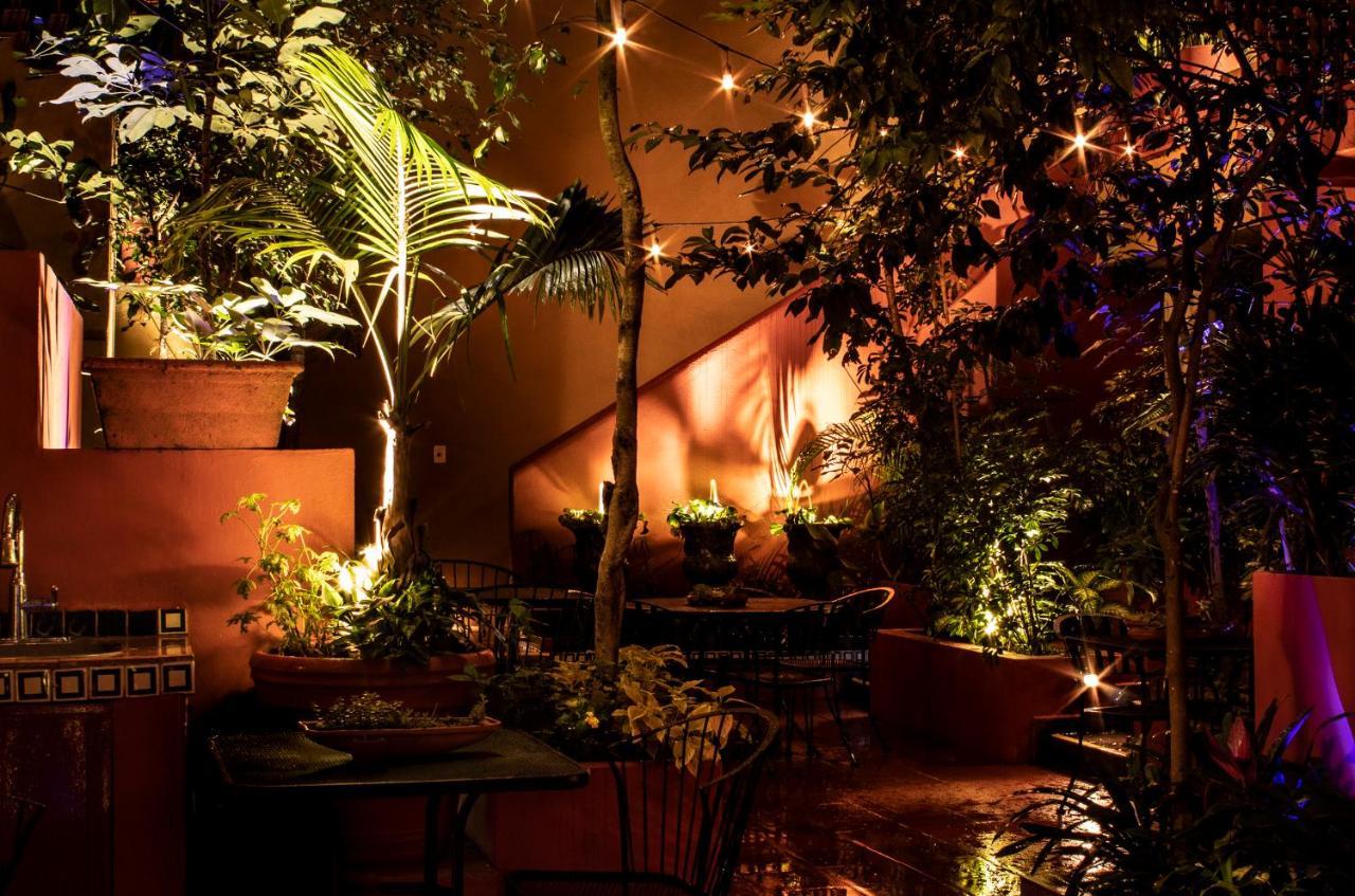 Bed and Breakfast The Red Tree House México DF Exterior foto