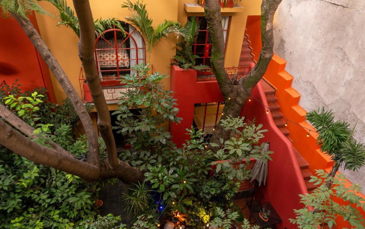 Bed and Breakfast The Red Tree House México DF Exterior foto