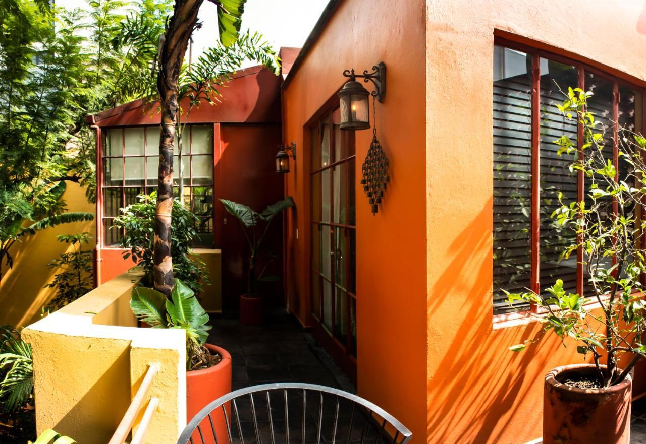 Bed and Breakfast The Red Tree House México DF Exterior foto