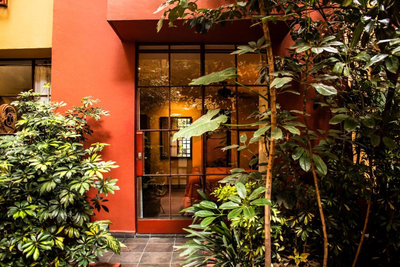 Bed and Breakfast The Red Tree House México DF Exterior foto