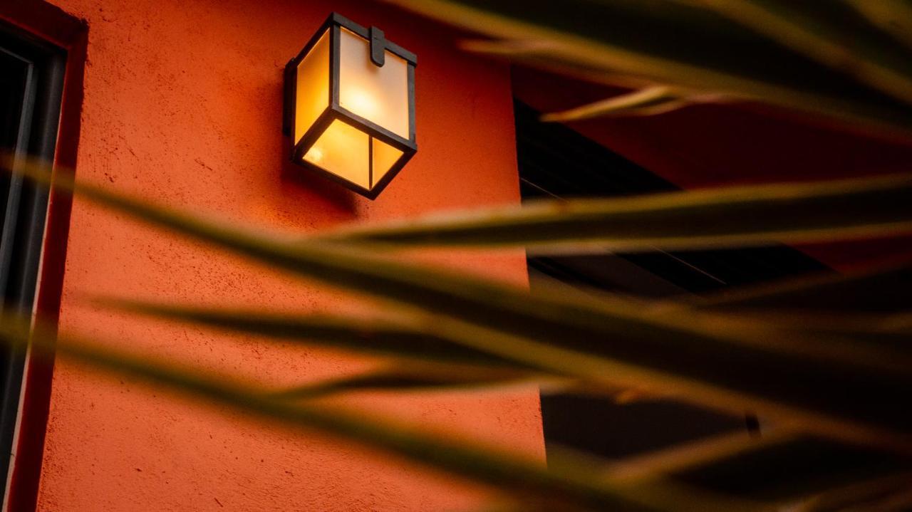 Bed and Breakfast The Red Tree House México DF Exterior foto
