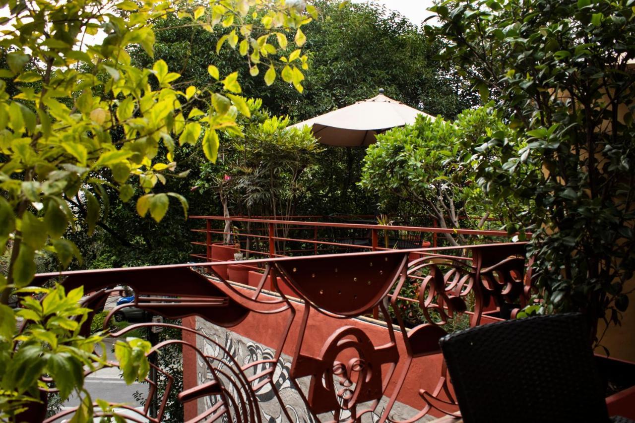 Bed and Breakfast The Red Tree House México DF Exterior foto