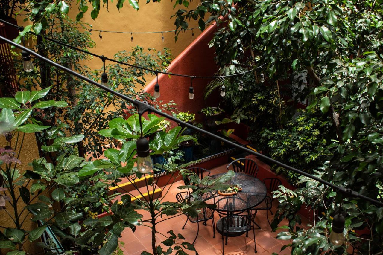 Bed and Breakfast The Red Tree House México DF Exterior foto