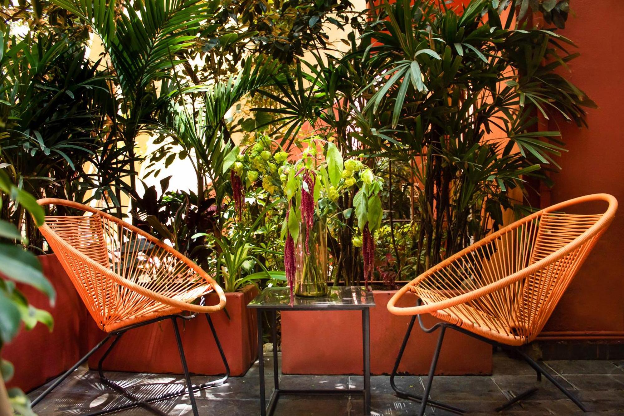 Bed and Breakfast The Red Tree House México DF Habitación foto