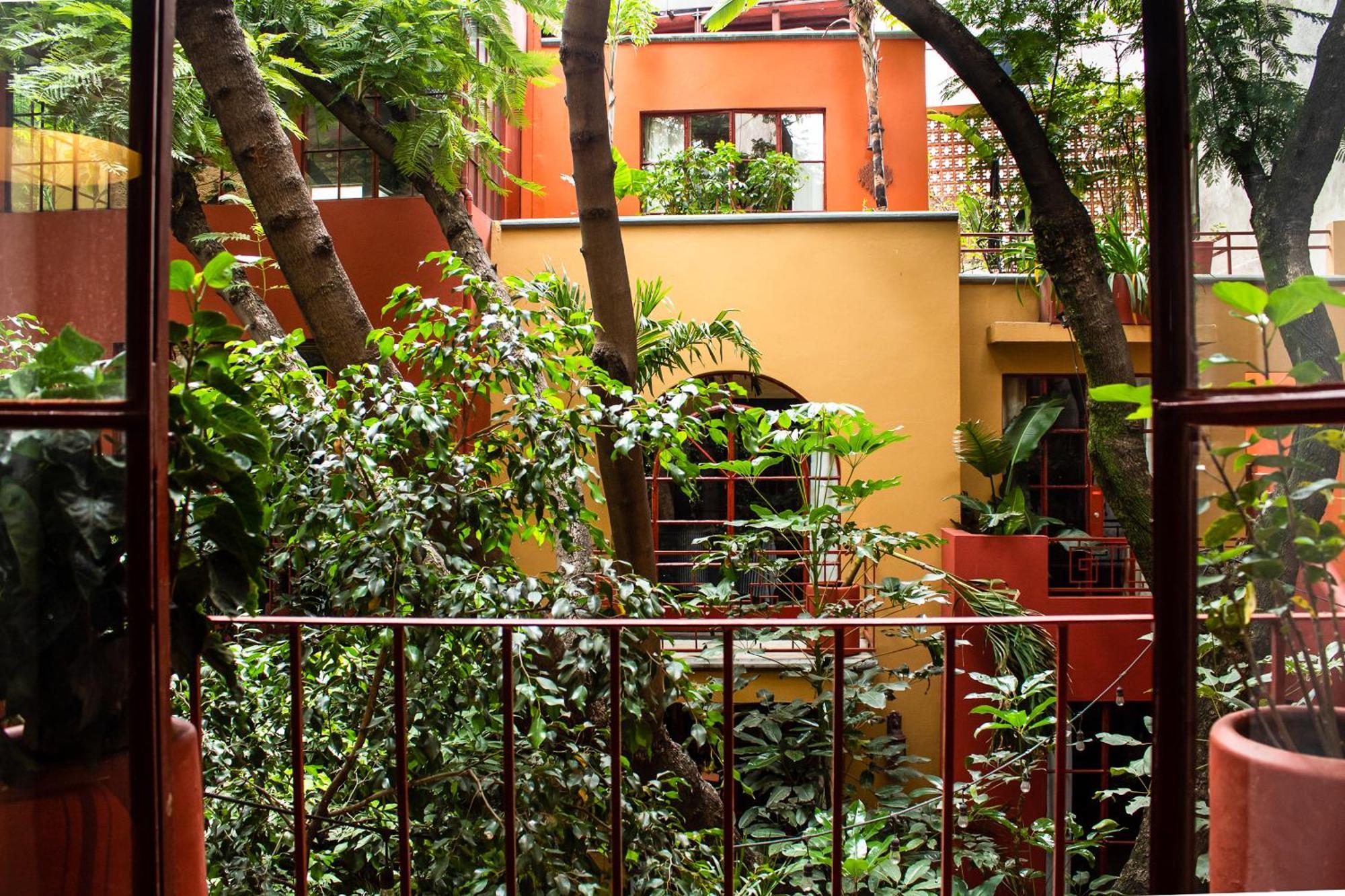 Bed and Breakfast The Red Tree House México DF Habitación foto