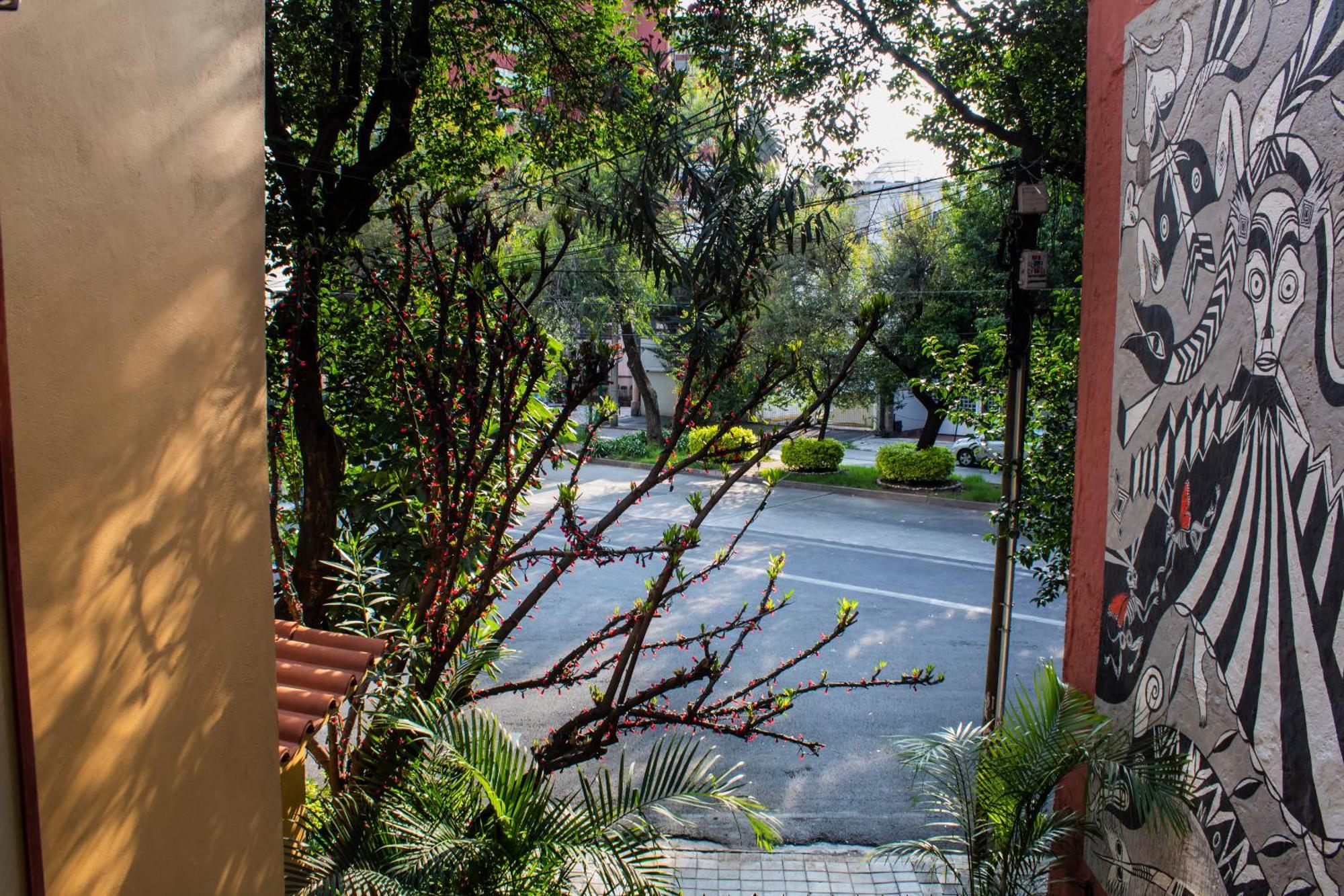 Bed and Breakfast The Red Tree House México DF Habitación foto